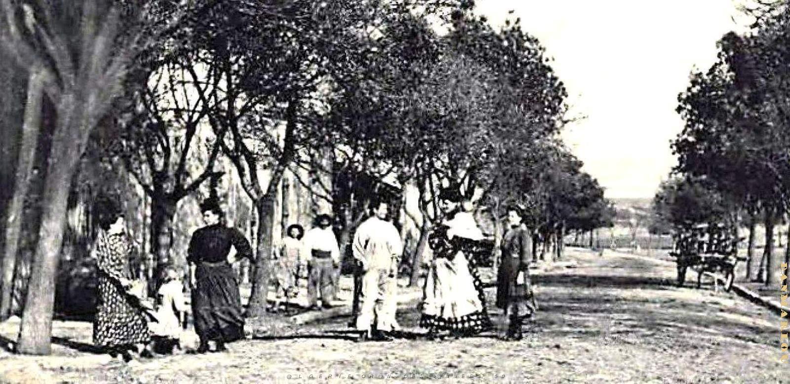 2406- Vialar - Rue du Nord2 - 1912.jpg